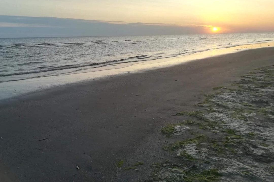 Photo of Others in Rindby Strand