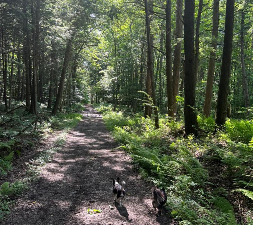 Photo of Others in Bromont