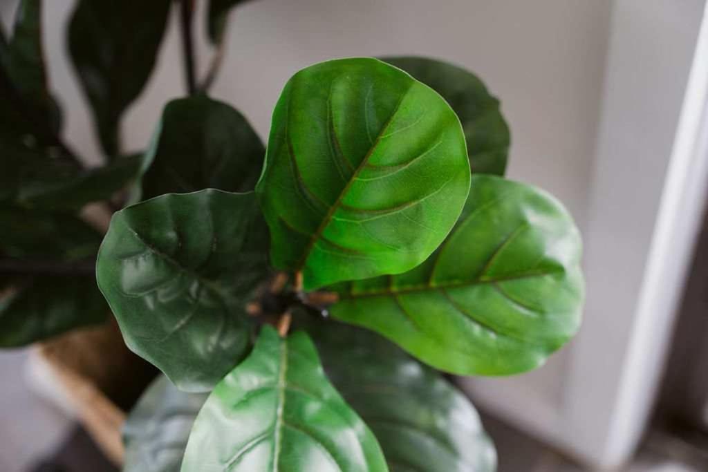 Photo of Others in Port Campbell