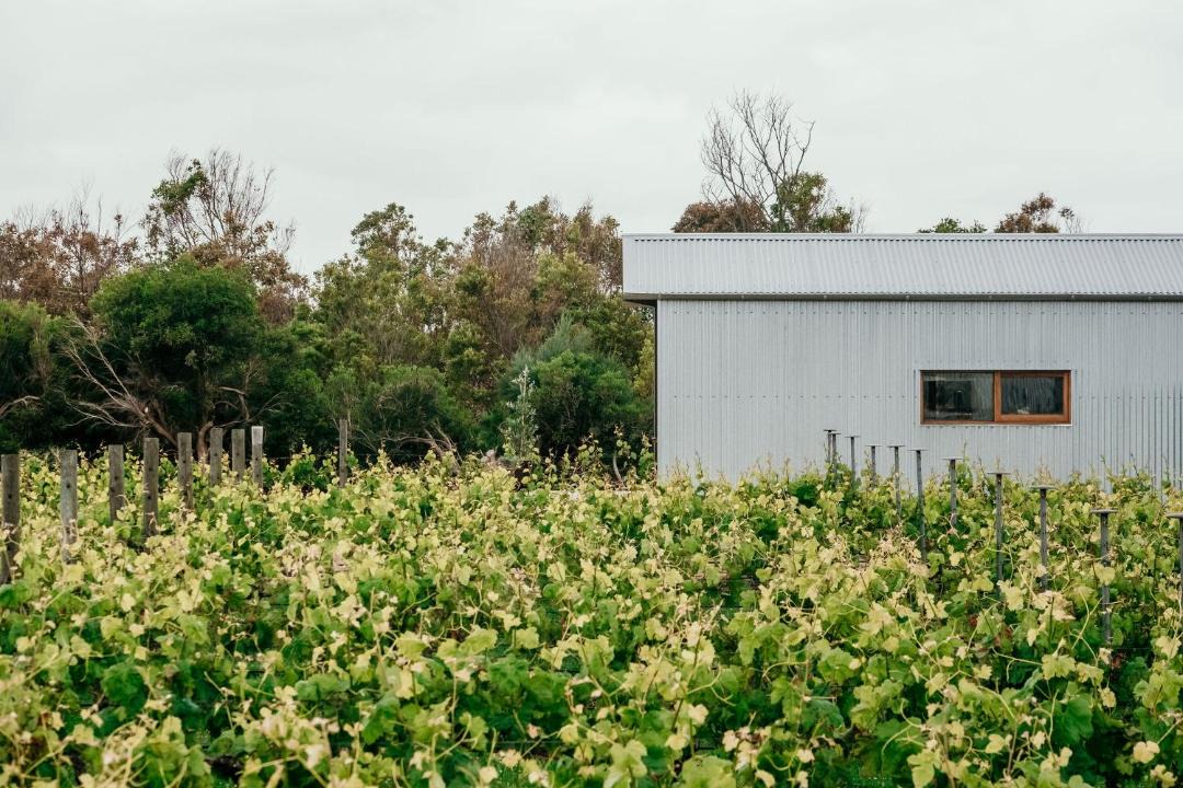 Photo of Others in Killarney