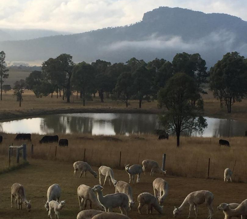 Photo of Others in Broke