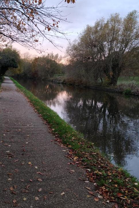 Photo of Others in London Borough of Ealing