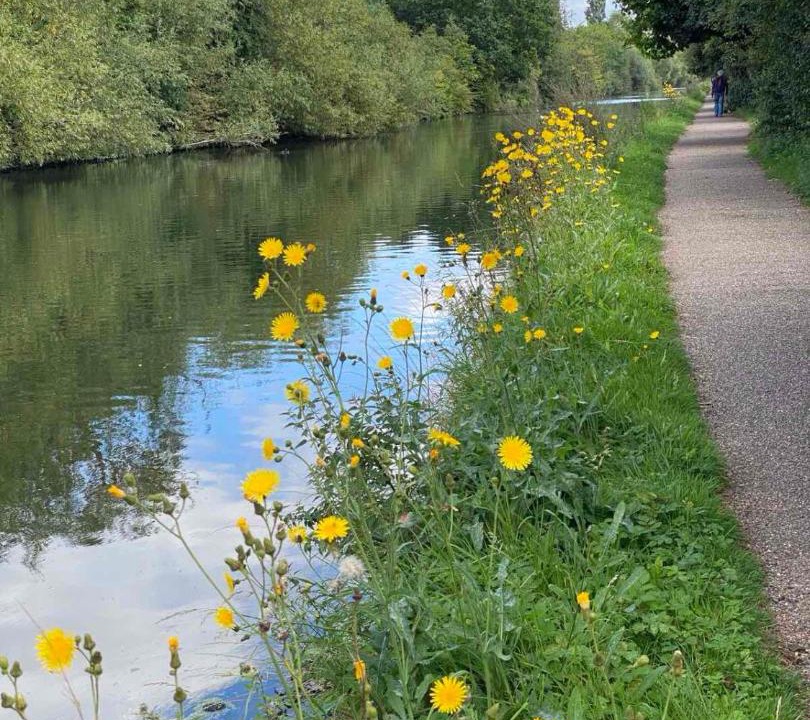 Photo of Others in London Borough of Ealing