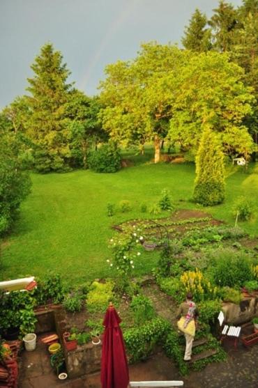 Photo of Others in Drulingen