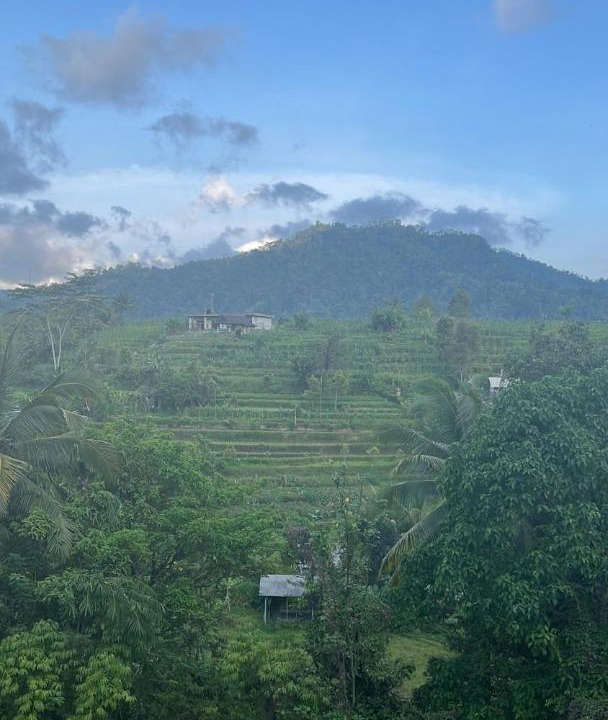 Photo of Others in Sidemen