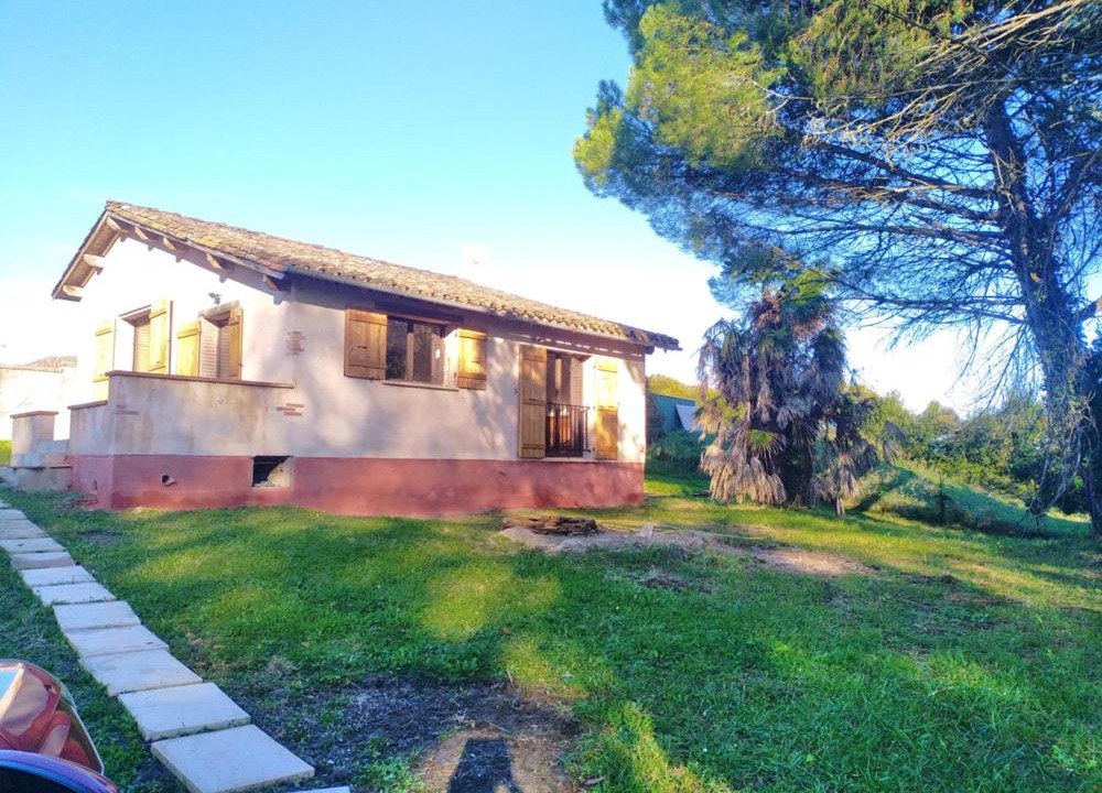 Photo of Others in Piquecos