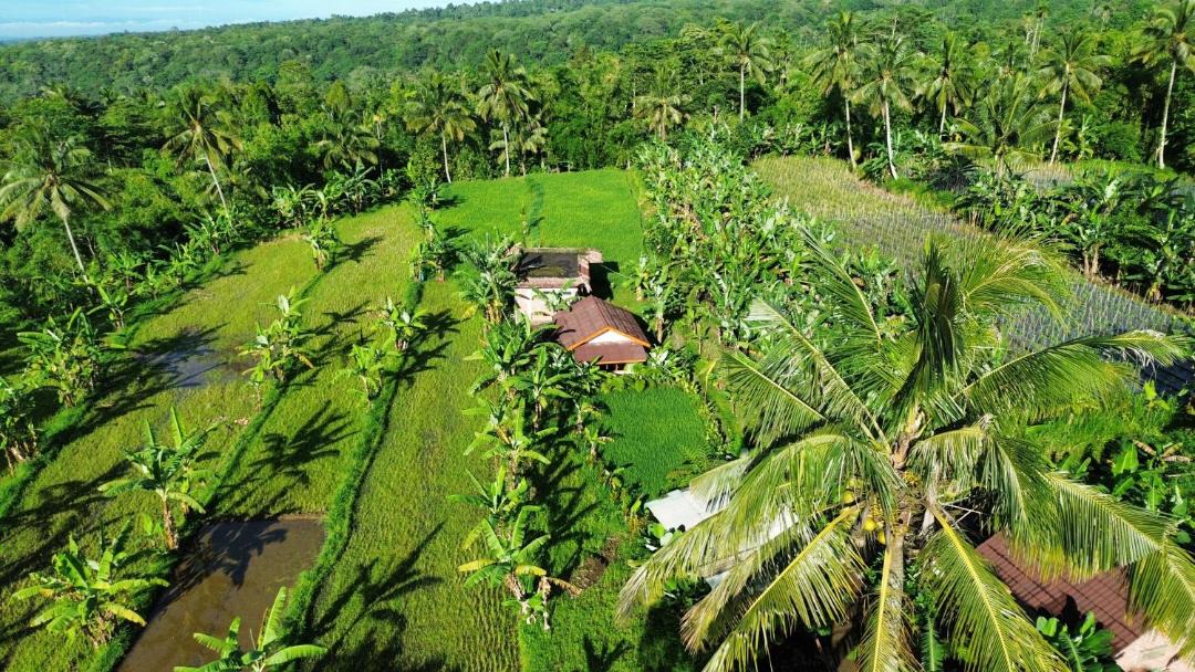 Photo of Others in Kecamatan Pringgasela