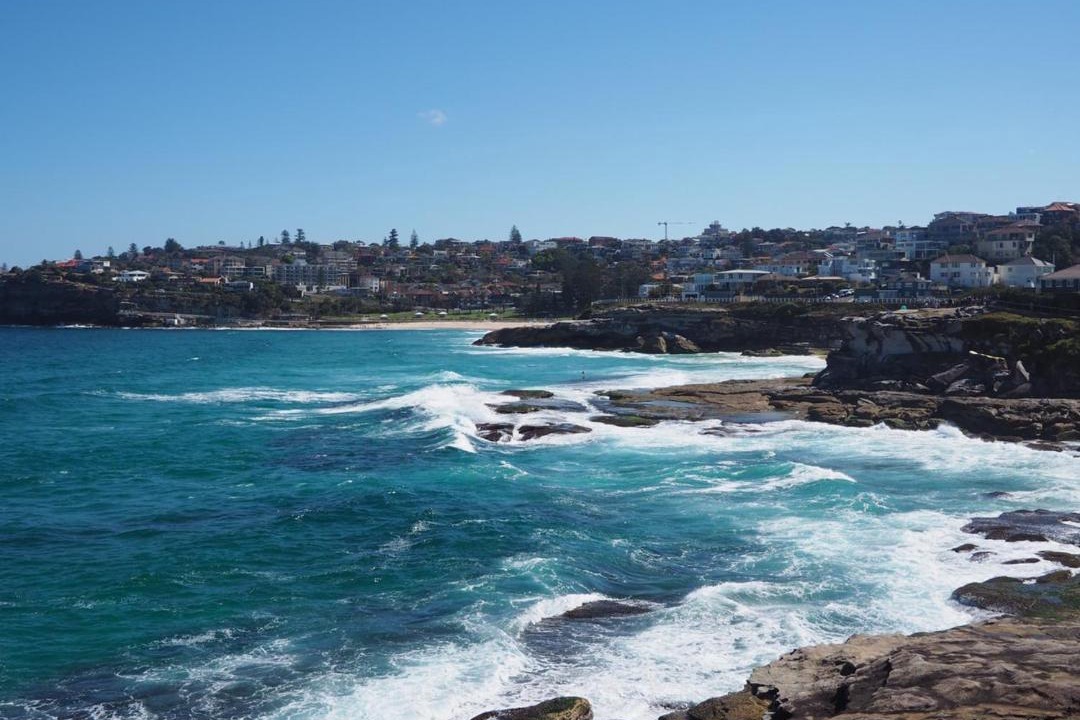 Photo of Others in Waverley