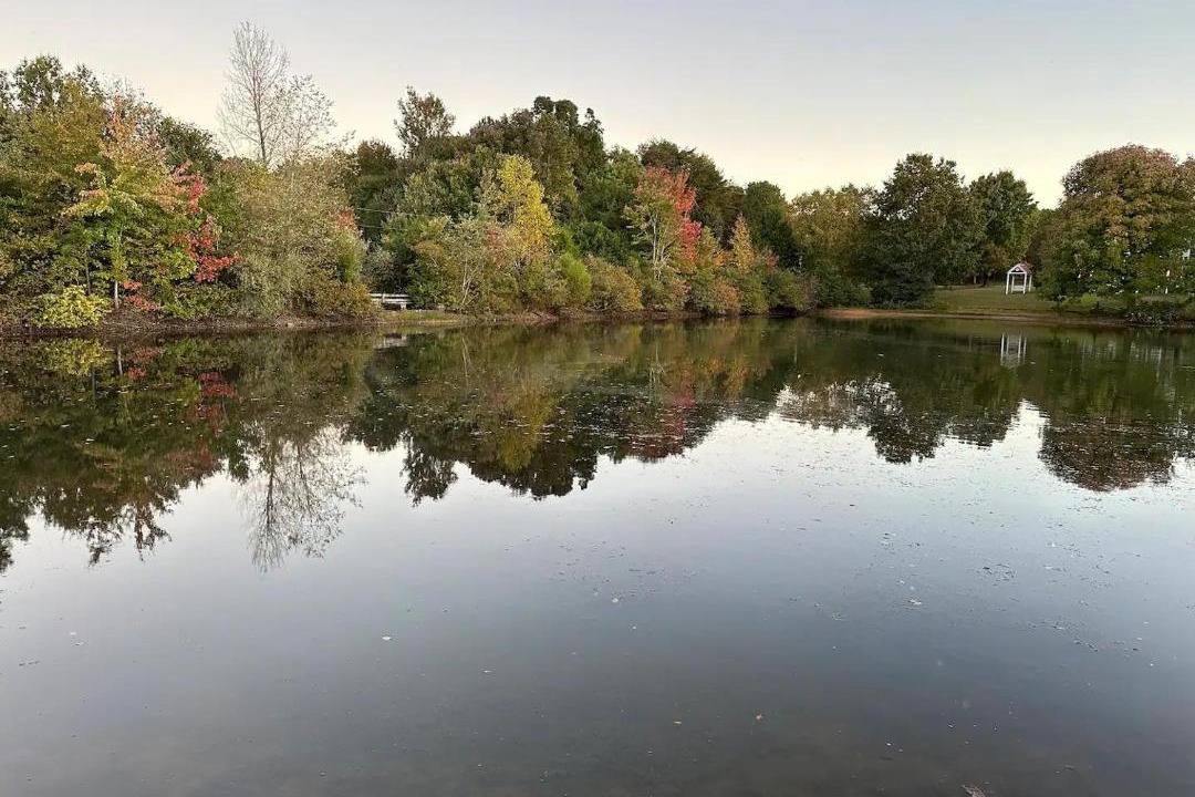 Photo of Others in Pisgah