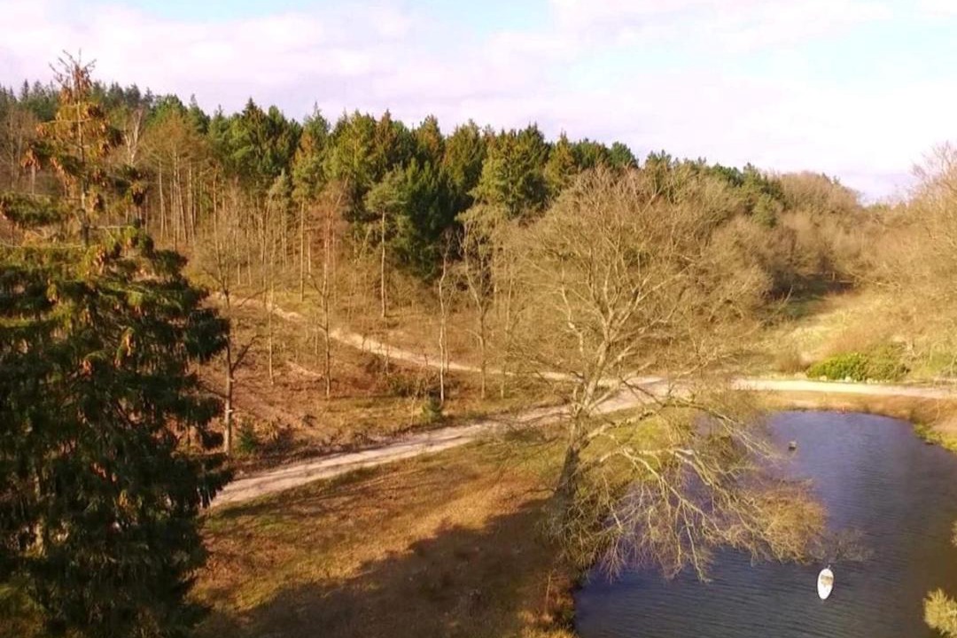 Photo of Others in Lyngsbæk Strand