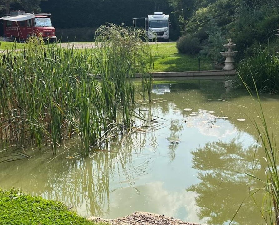 Photo of Outdoor in Festigny