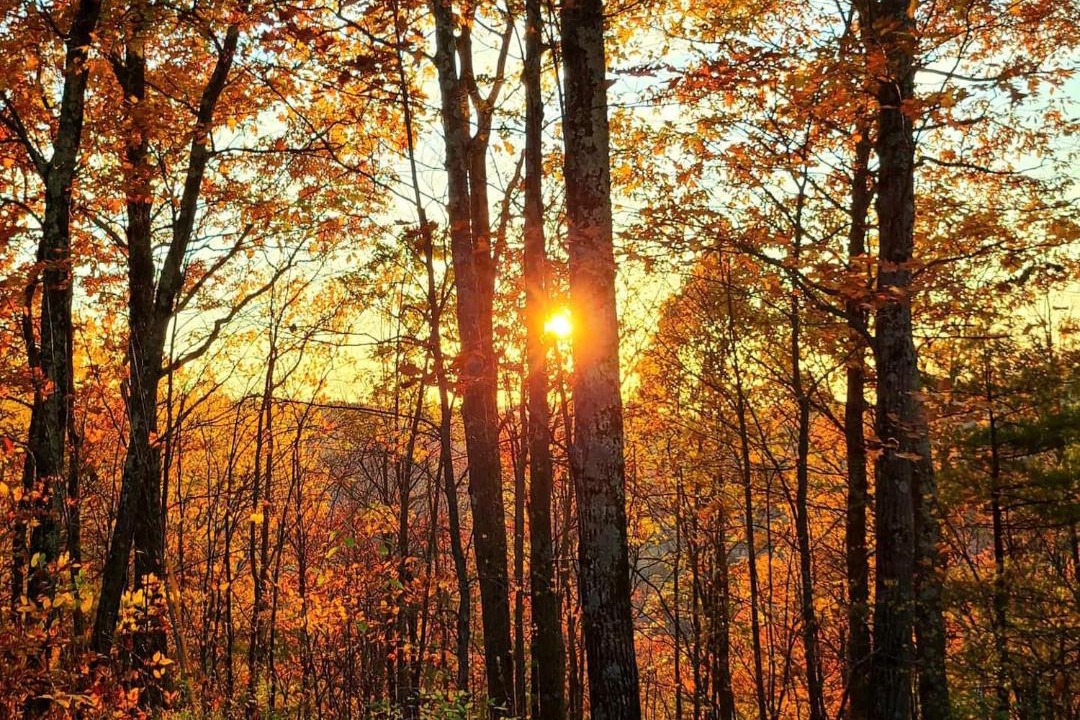 Photo of Others in Cambridge