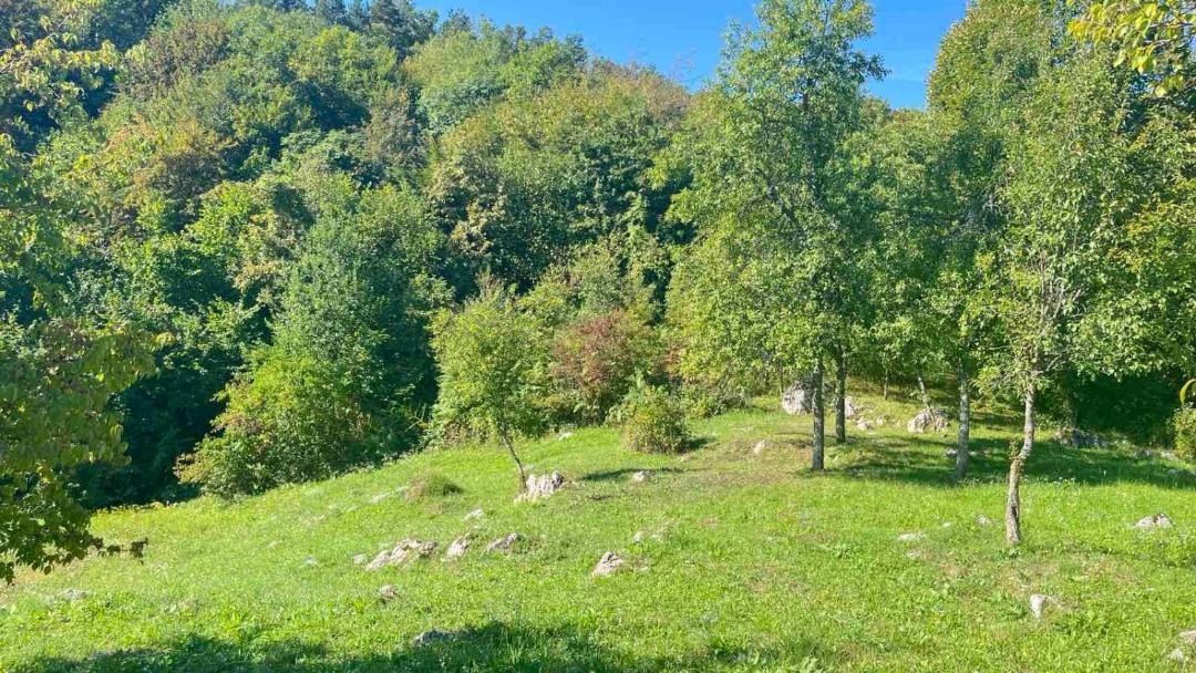Photo of Others in Slunj