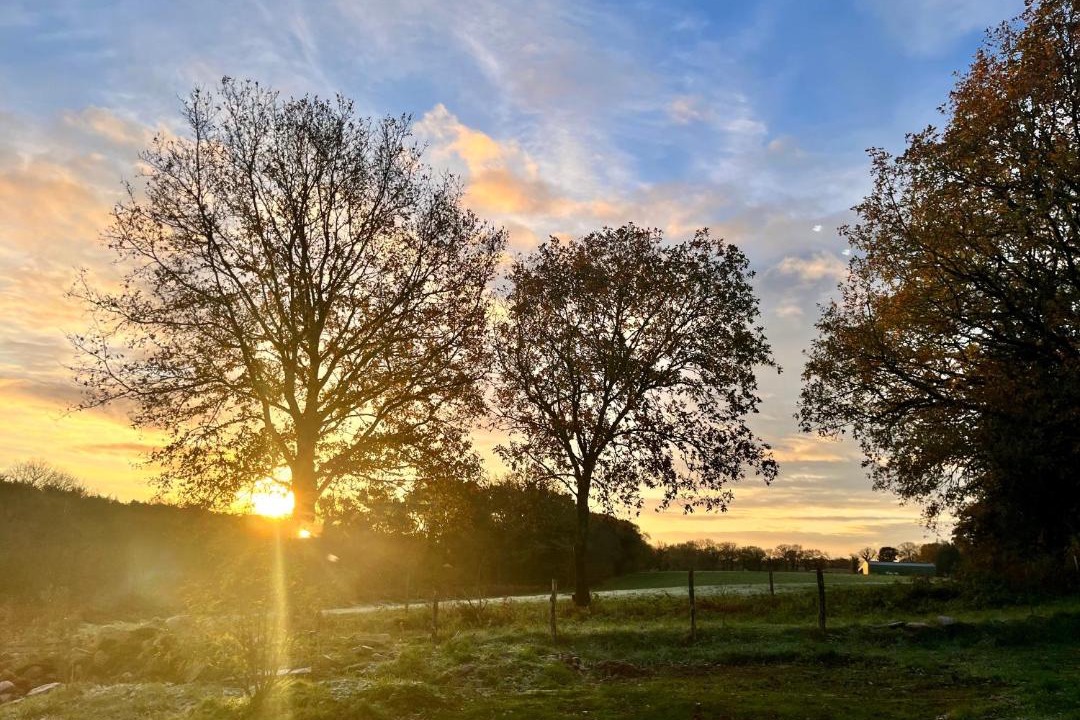 Photo of Others in Cruguel