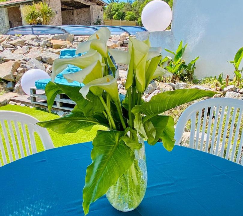 Photo of Others in Saint-Mars-de-Coutais