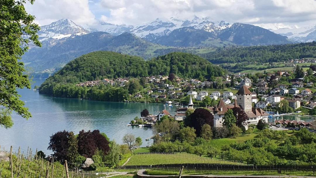 Photo of Others in Thun