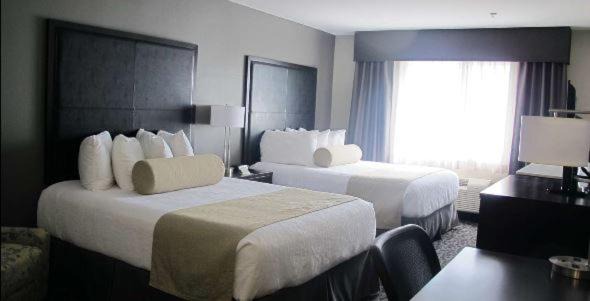 Photo of Others in Aberdeen