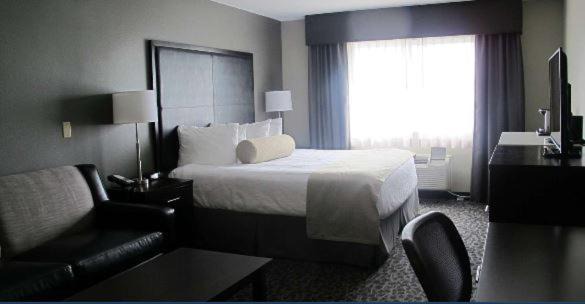 Photo of Others in Aberdeen