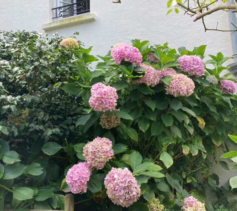 Photo of Others in Corsept