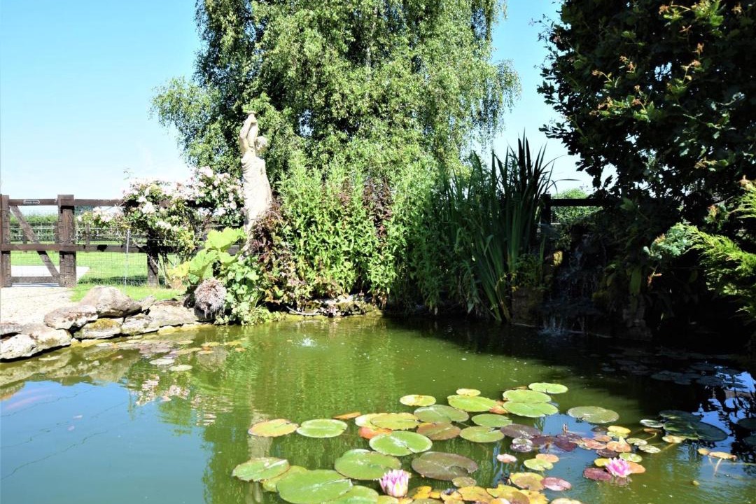 Photo of Others in Devizes