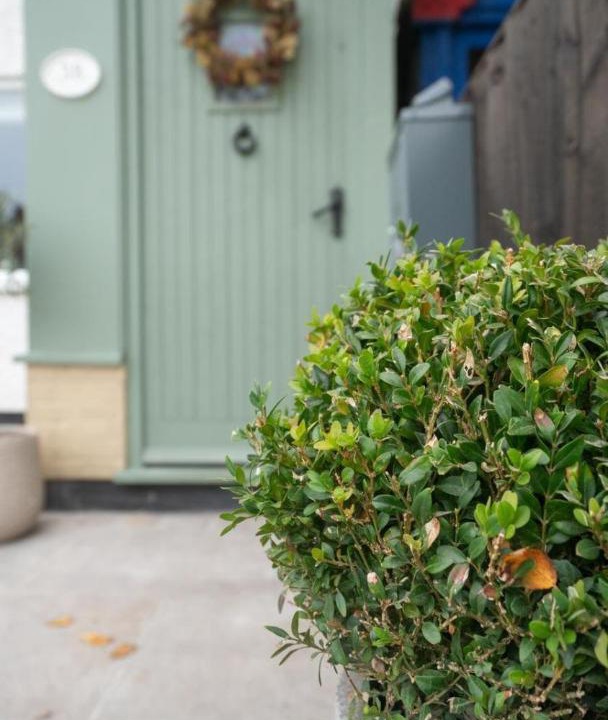 Photo of Others in Formby