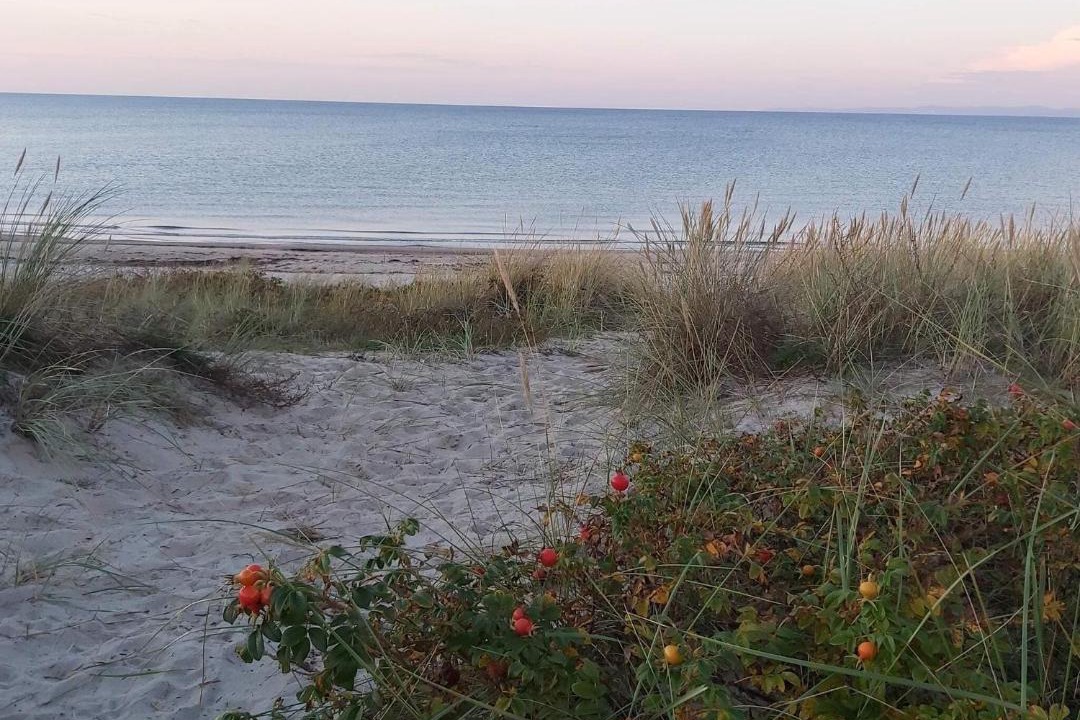 Photo of Others in Hornbaek