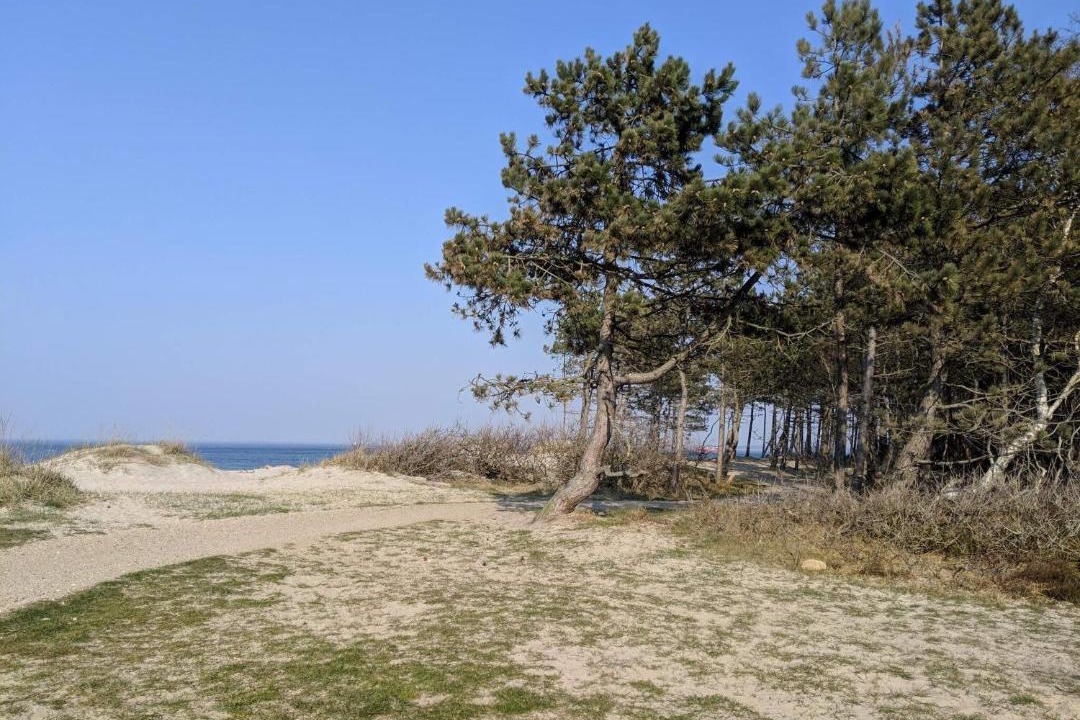 Photo of Others in Hornbaek