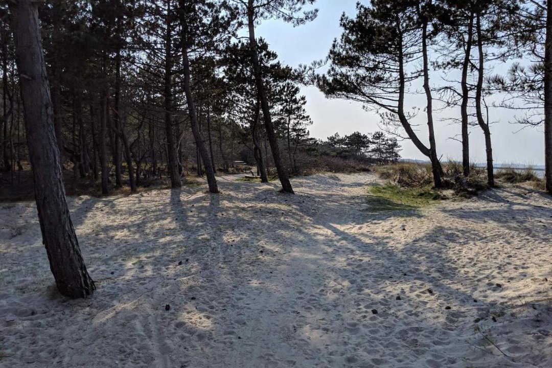 Photo of Others in Hornbaek