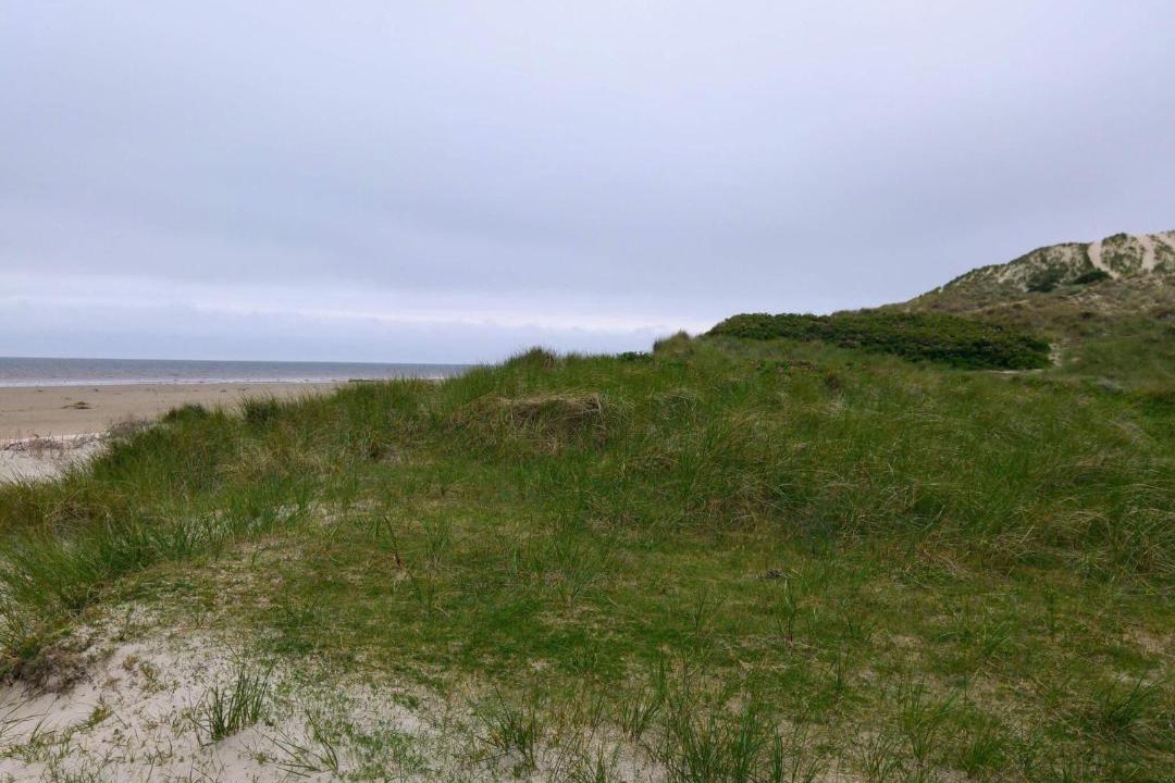 Photo of Others in Sønderho