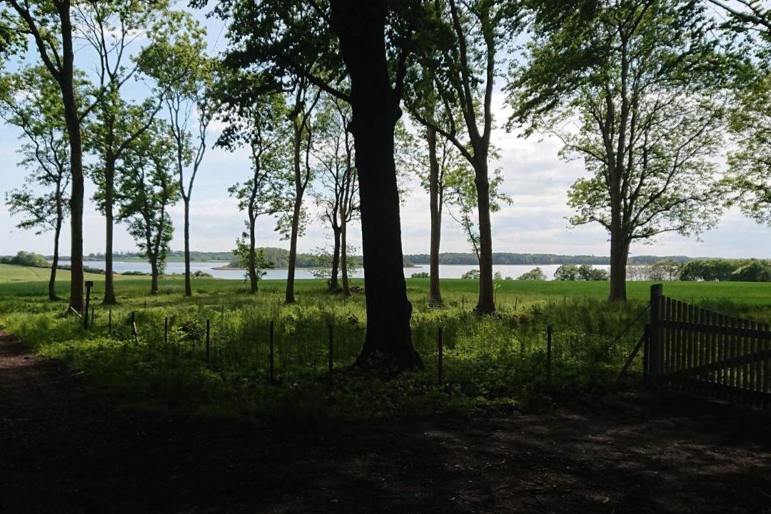 Photo of Others in Bisserup