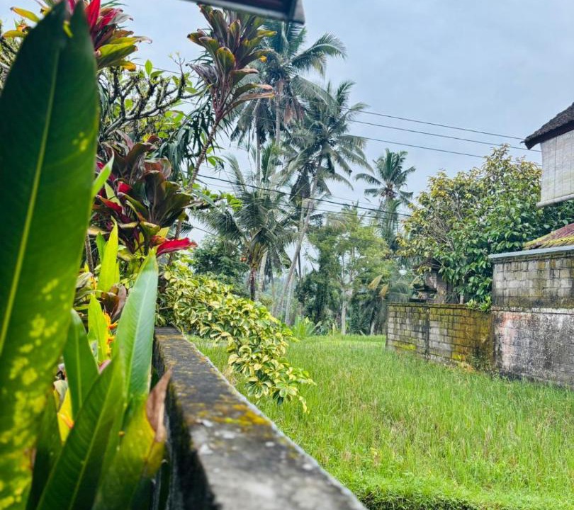 Photo of Others in Kenderan