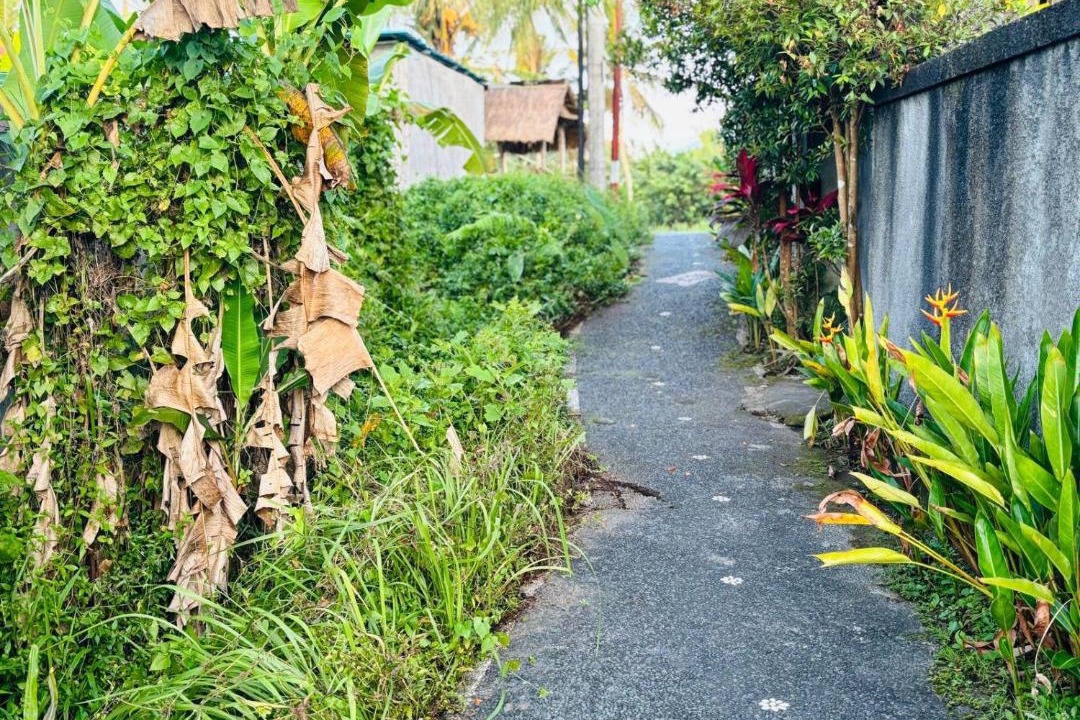 Photo of Others in Kenderan