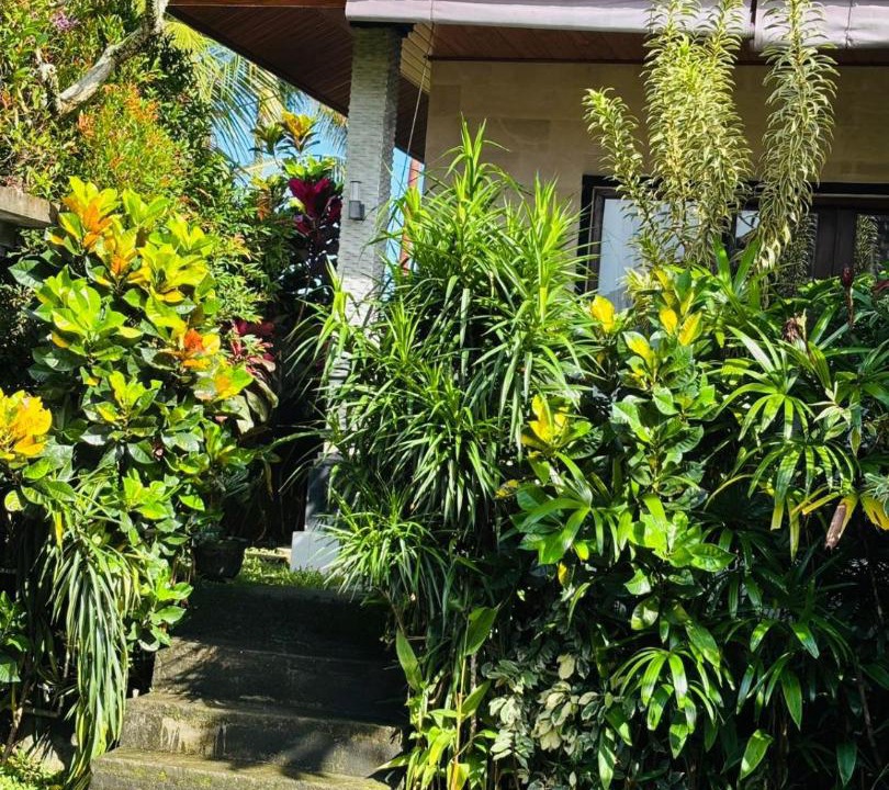 Photo of Others in Kenderan