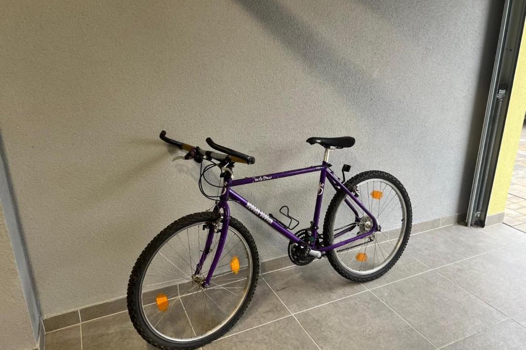 Photo of Others in Soufflenheim