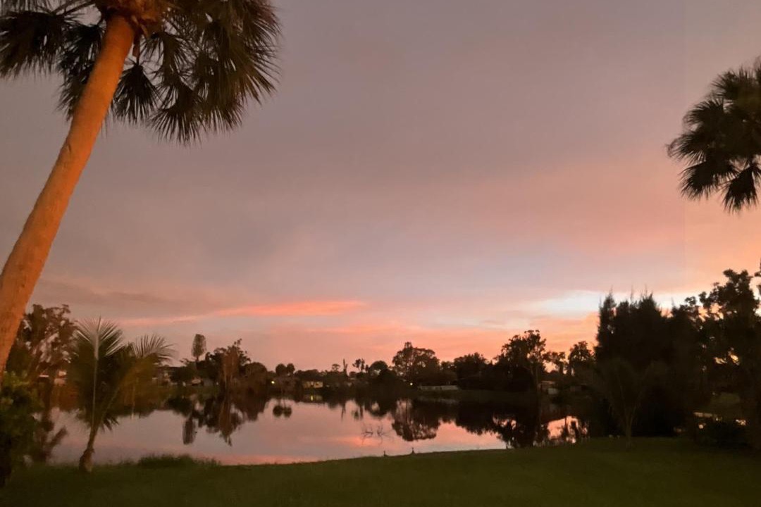 Photo of Others in Venice Gardens
