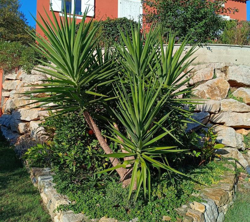 Photo of Others in Les Adrets-de-l'Esterel