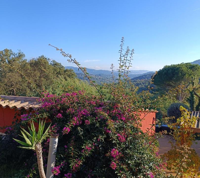 Photo of Others in Les Adrets-de-l'Esterel