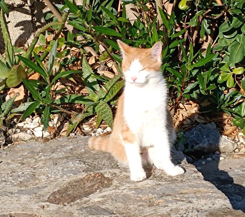 Photo of Others in Les Adrets-de-l'Esterel
