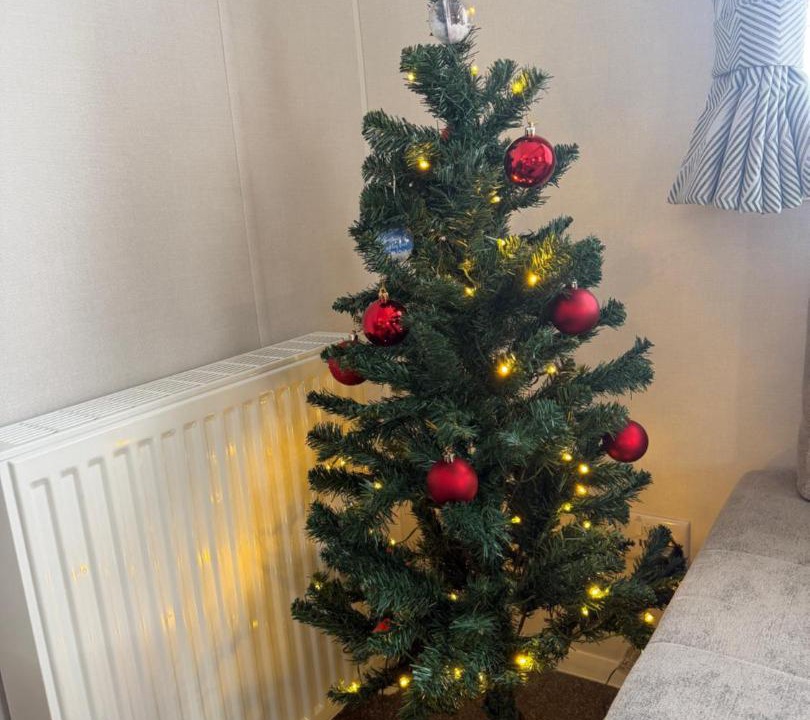 Photo of Others in Hamworthy