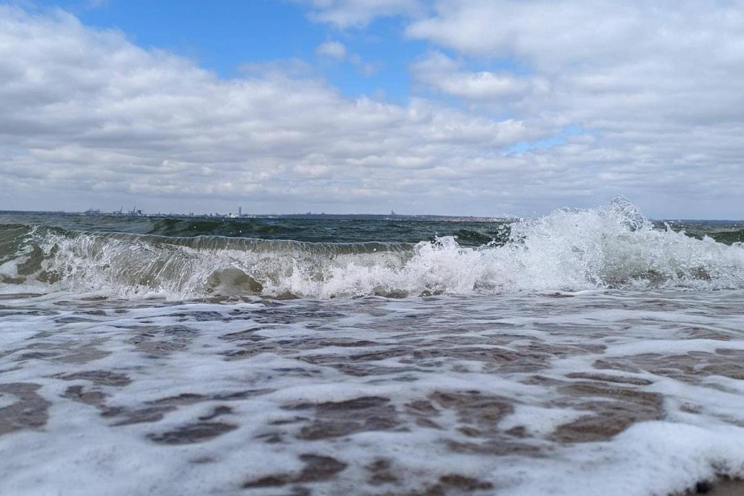 Photo of Others in Skødshoved Strand