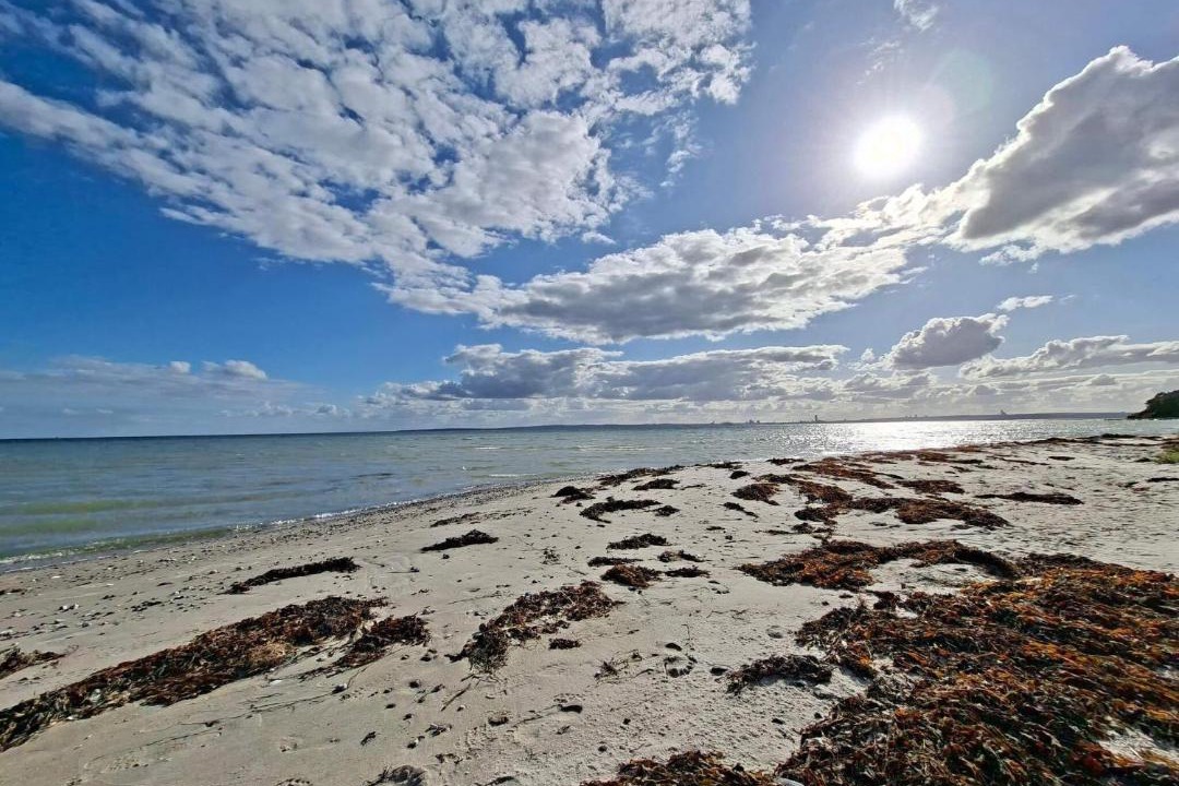 Photo of Others in Skødshoved Strand