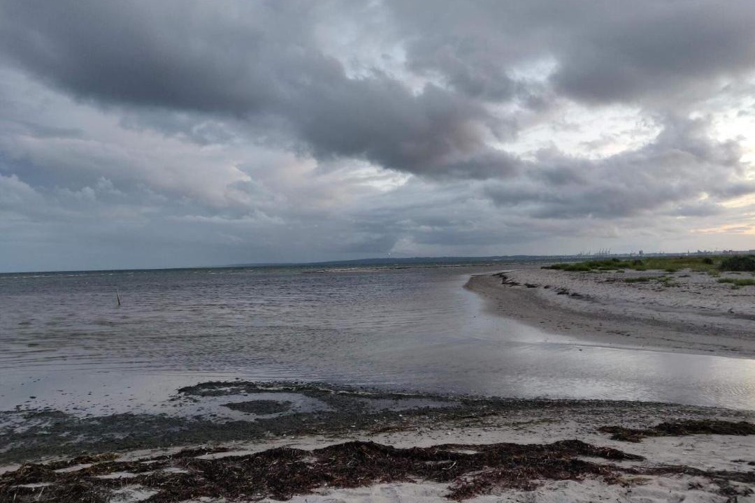Photo of Others in Skødshoved Strand
