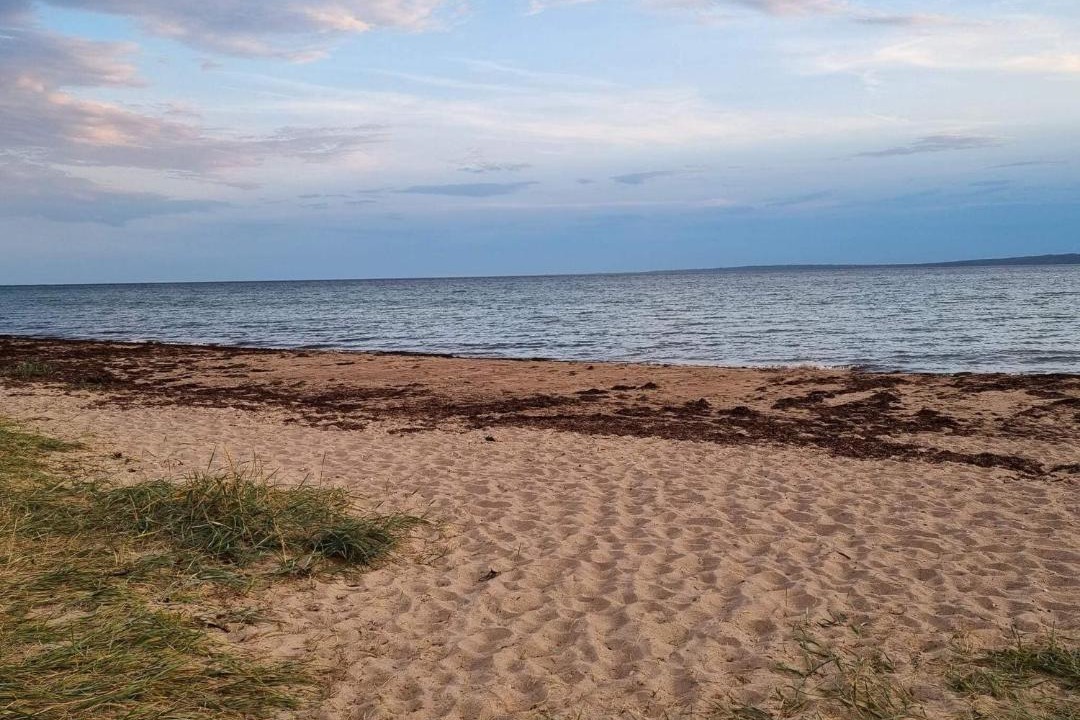 Photo of Others in Skødshoved Strand