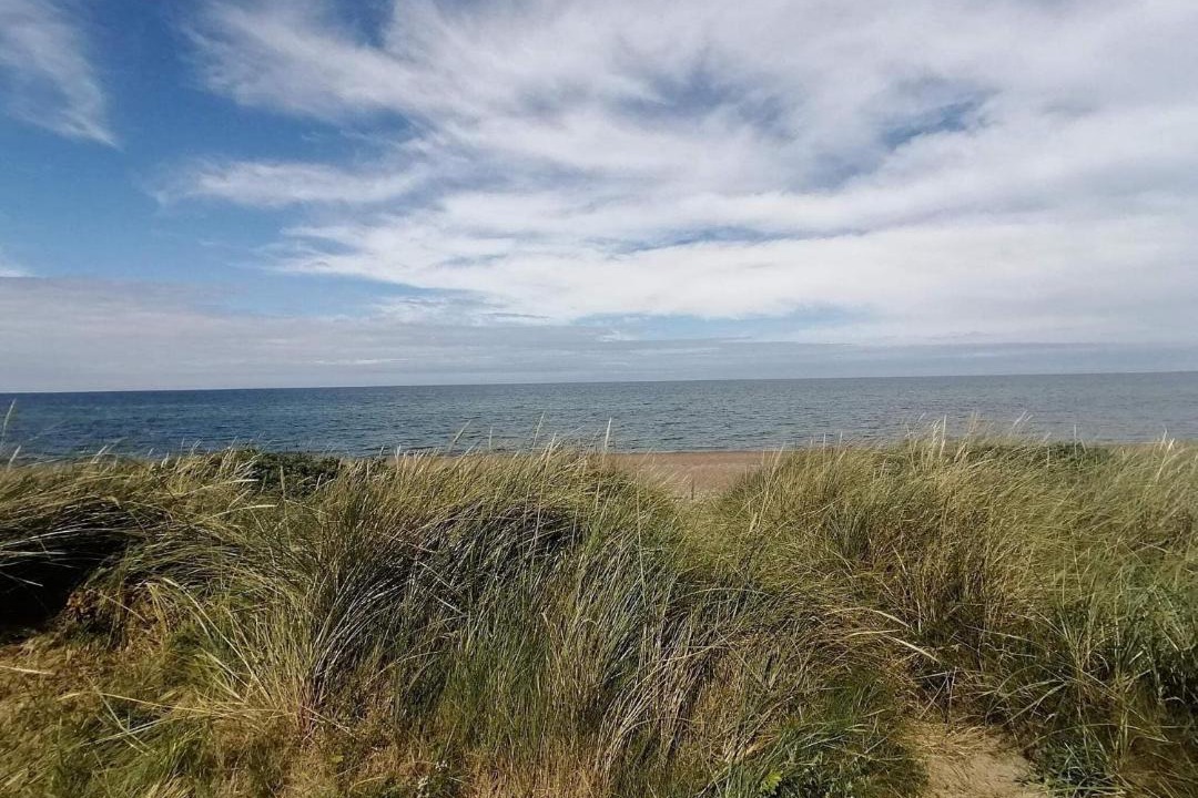 Photo of Others in Lild Strand
