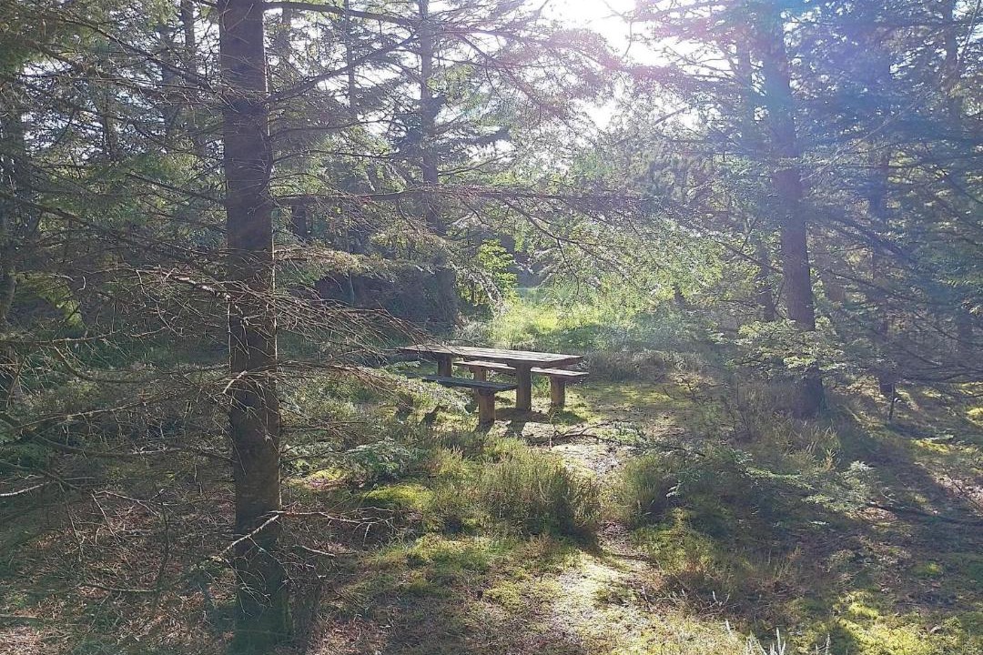 Photo of Others in Lild Strand