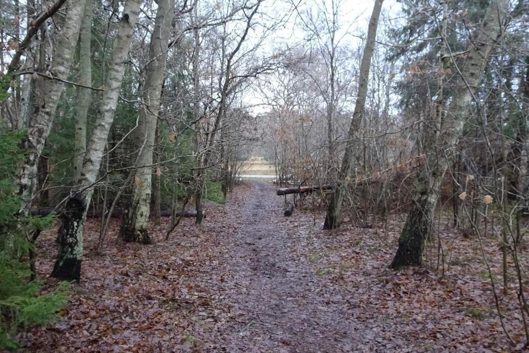 Photo of Others in Udsholt