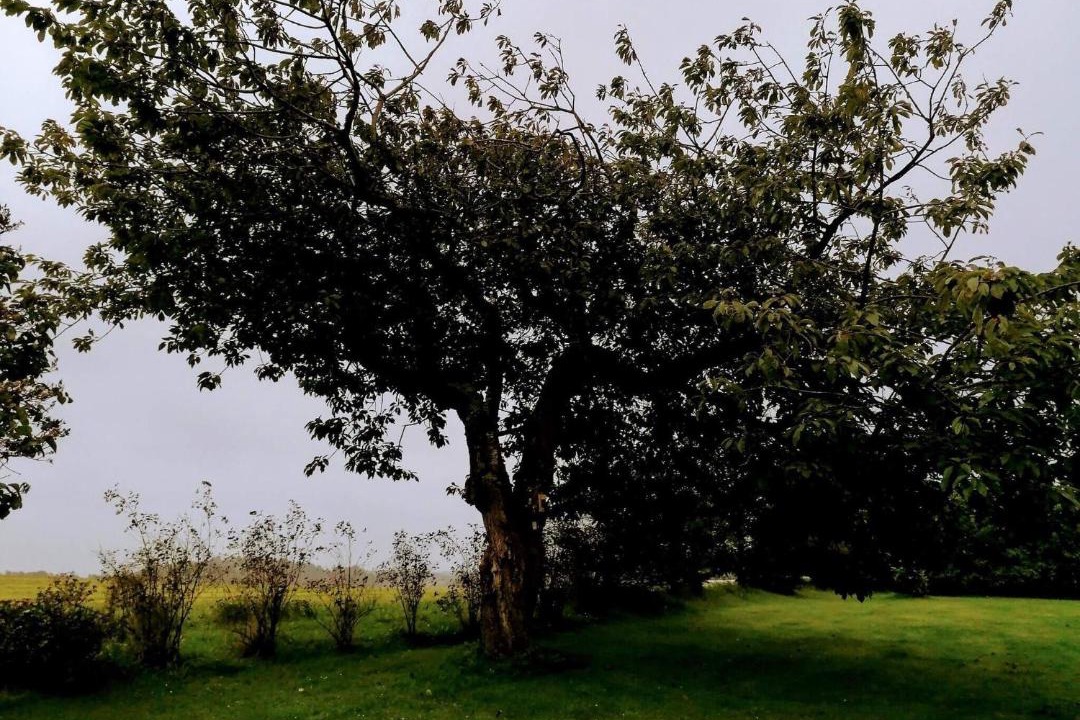 Photo of Outdoor in Grønhøj