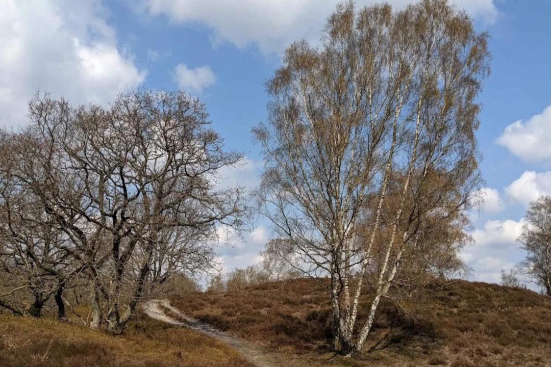 Photo of Others in Gjern