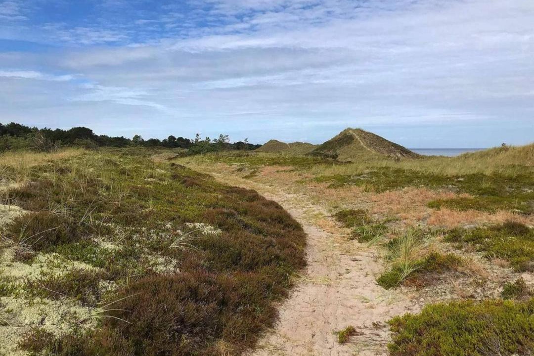 Photo of Others in Læsø