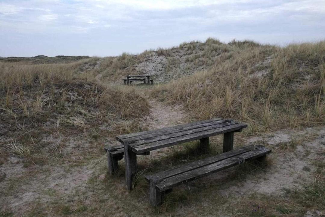 Photo of Others in Læsø